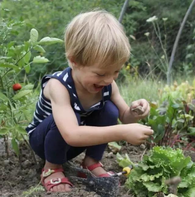 她放弃城市生活,一家人搬到乡下田园:自给自足