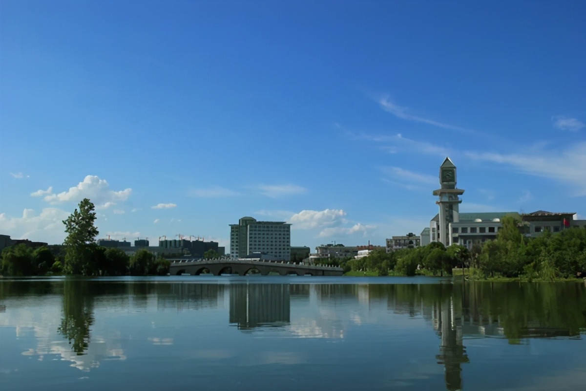 湖北高校风景,湖北风景最美的大学
