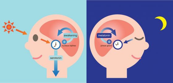 考前睡不着安慰,考前睡不着怎么办可以熬夜吗