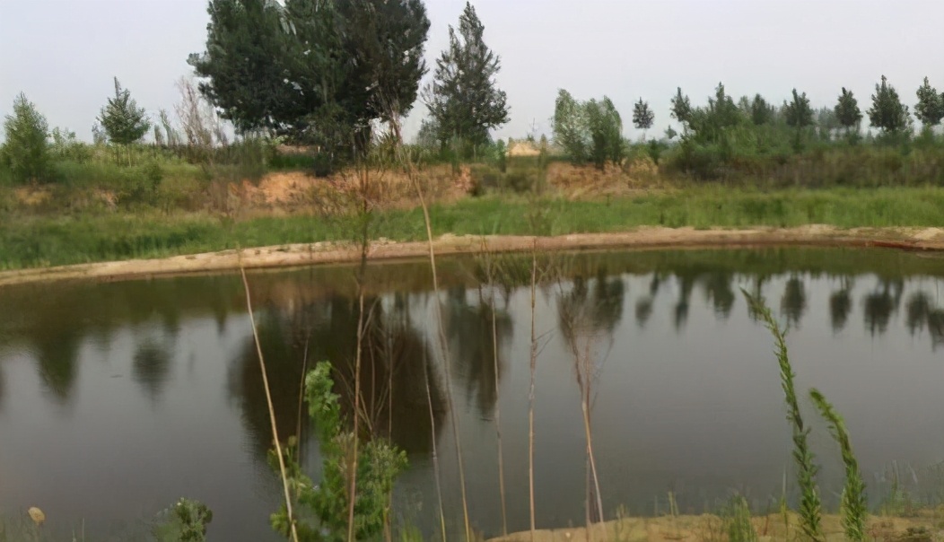 鱼塘开增氧机水就浑浊怎么解决,鱼塘增氧机能改善水质吗