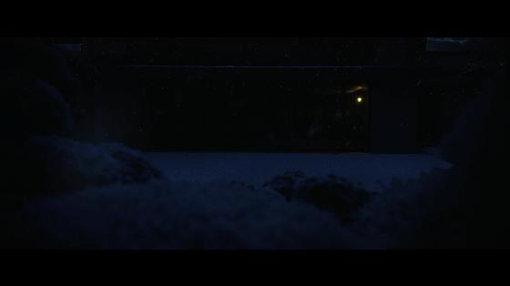 寄生虫的排名,讨厌的寄生虫排行榜