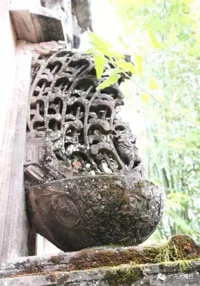 广元古墓完整视频,四川广元1914古墓