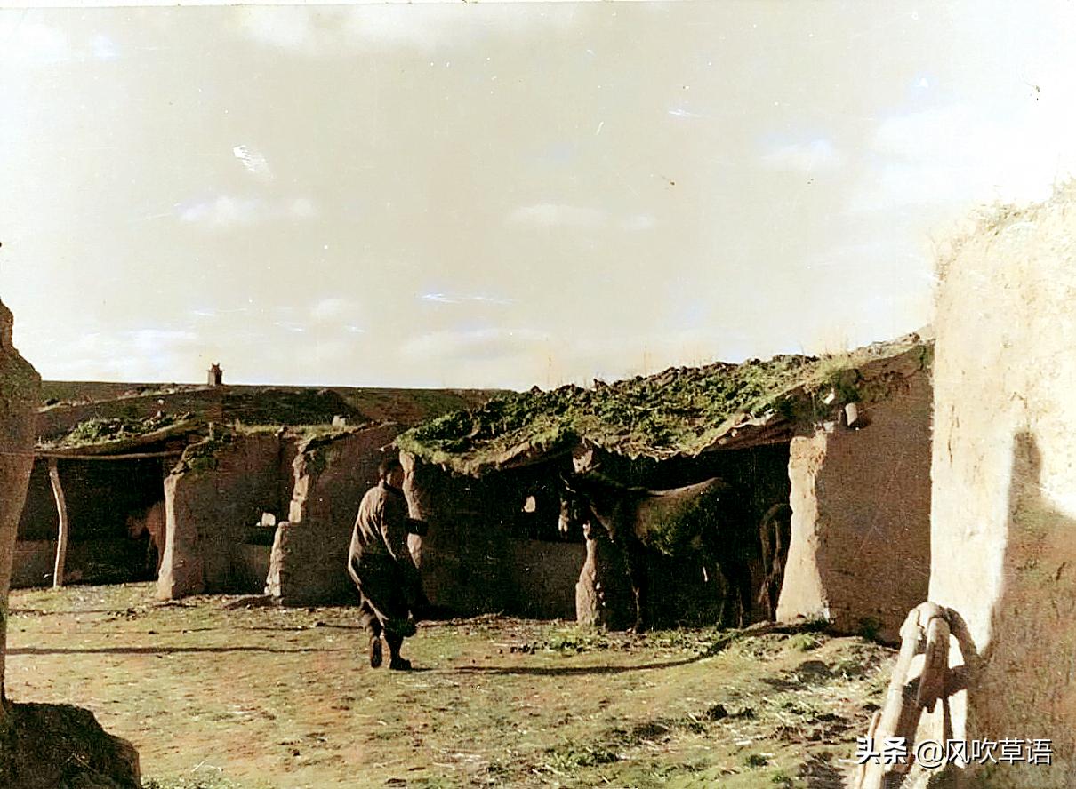 「抗日奇人之傻春传奇」放羊倌不干了，跳槽做了马夫