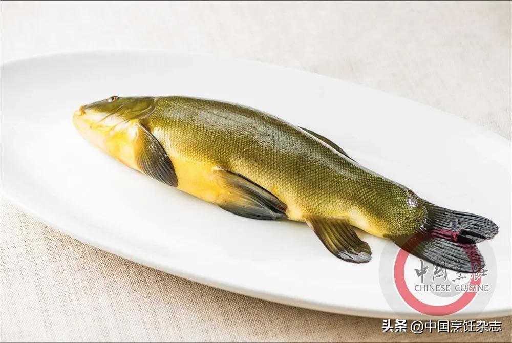 拒绝野味有哪些点,关于拒绝野味的小知识