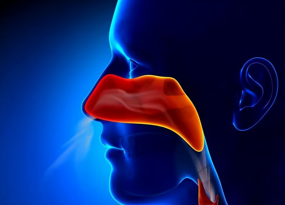 为什么鼻咽癌在广东高发,鼻咽癌可怕吗可以治愈吗