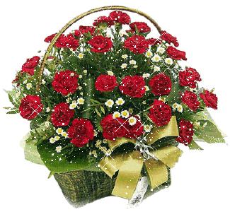 520情人节祝福送上真的太美了,最新的520情人节