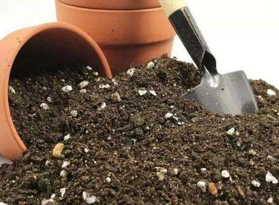 养花的盆土出现板结了的解决办法,养花土板结变硬怎么办