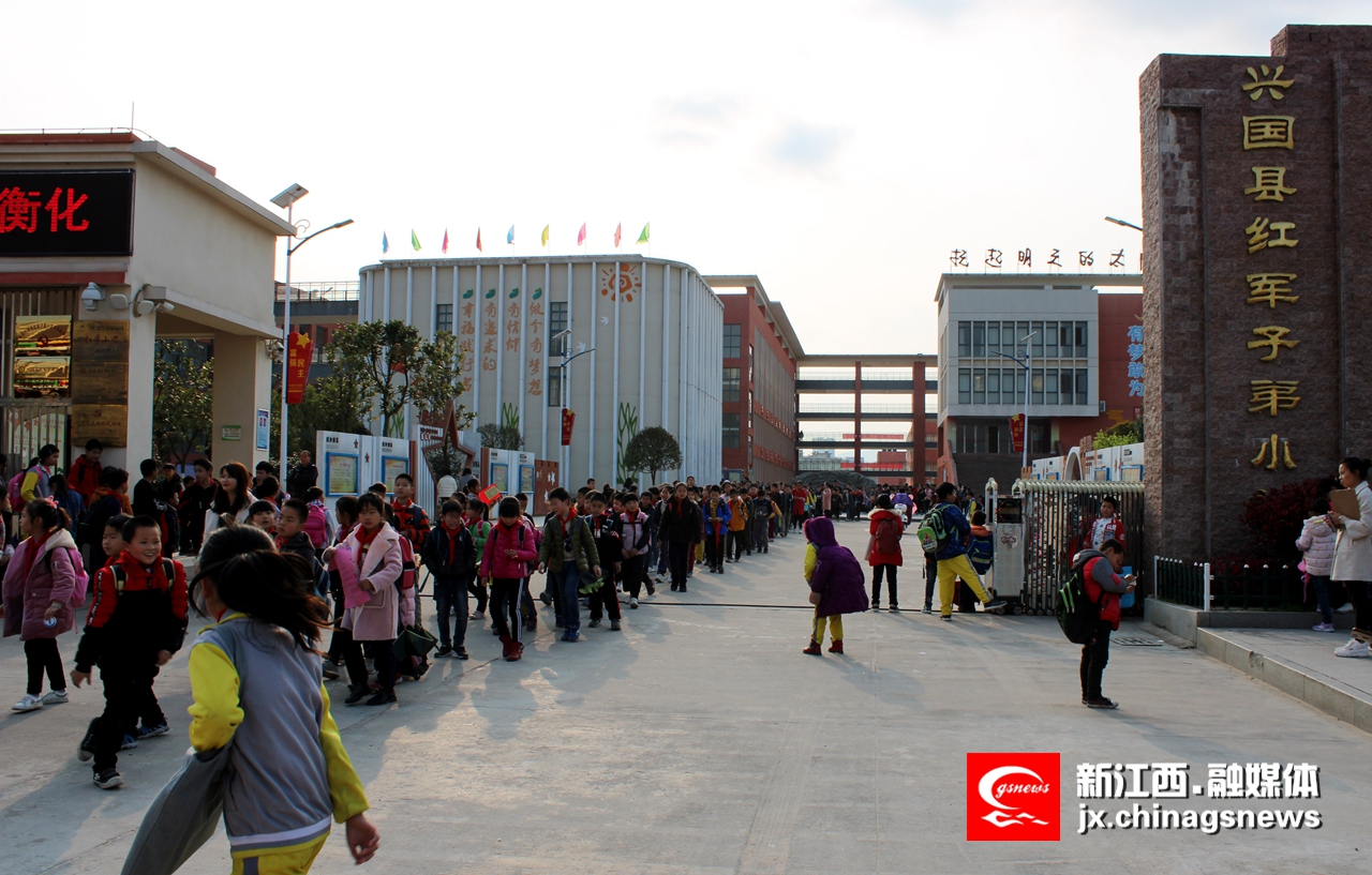 你努力的样子，真的很美-访兴国县红军子弟小学教师王婷