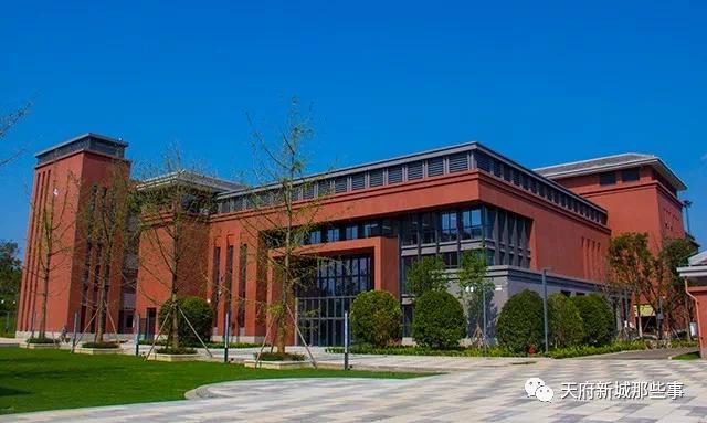 天府新区三大教育集团,天府新区五大教育集团