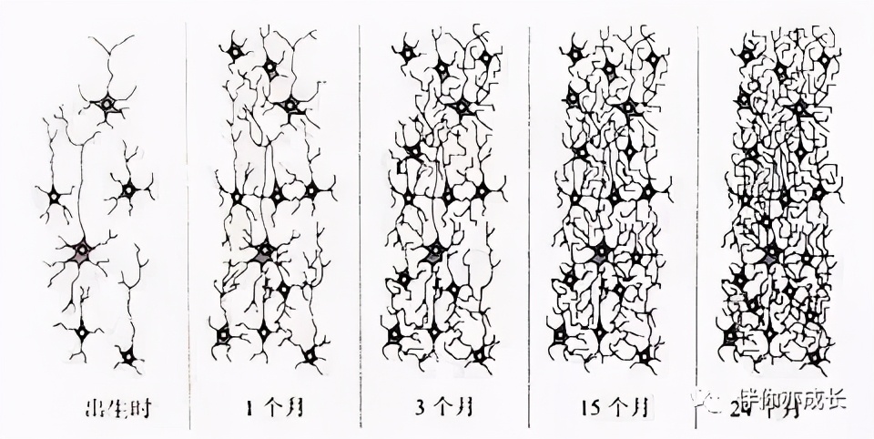 益智玩具0-1岁,3岁以上十大必买玩具