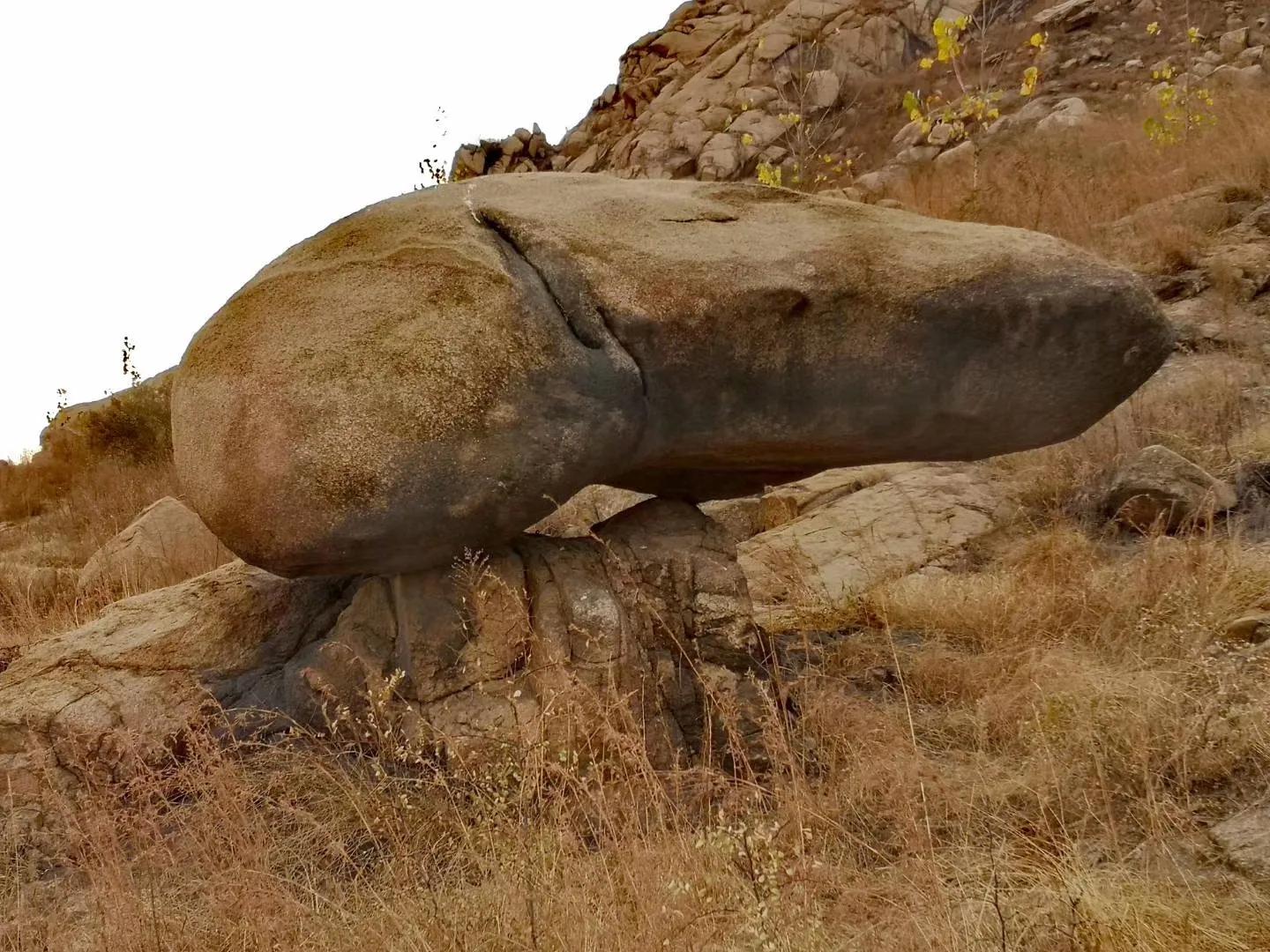 向秋全文阅读,向秋采春记原文