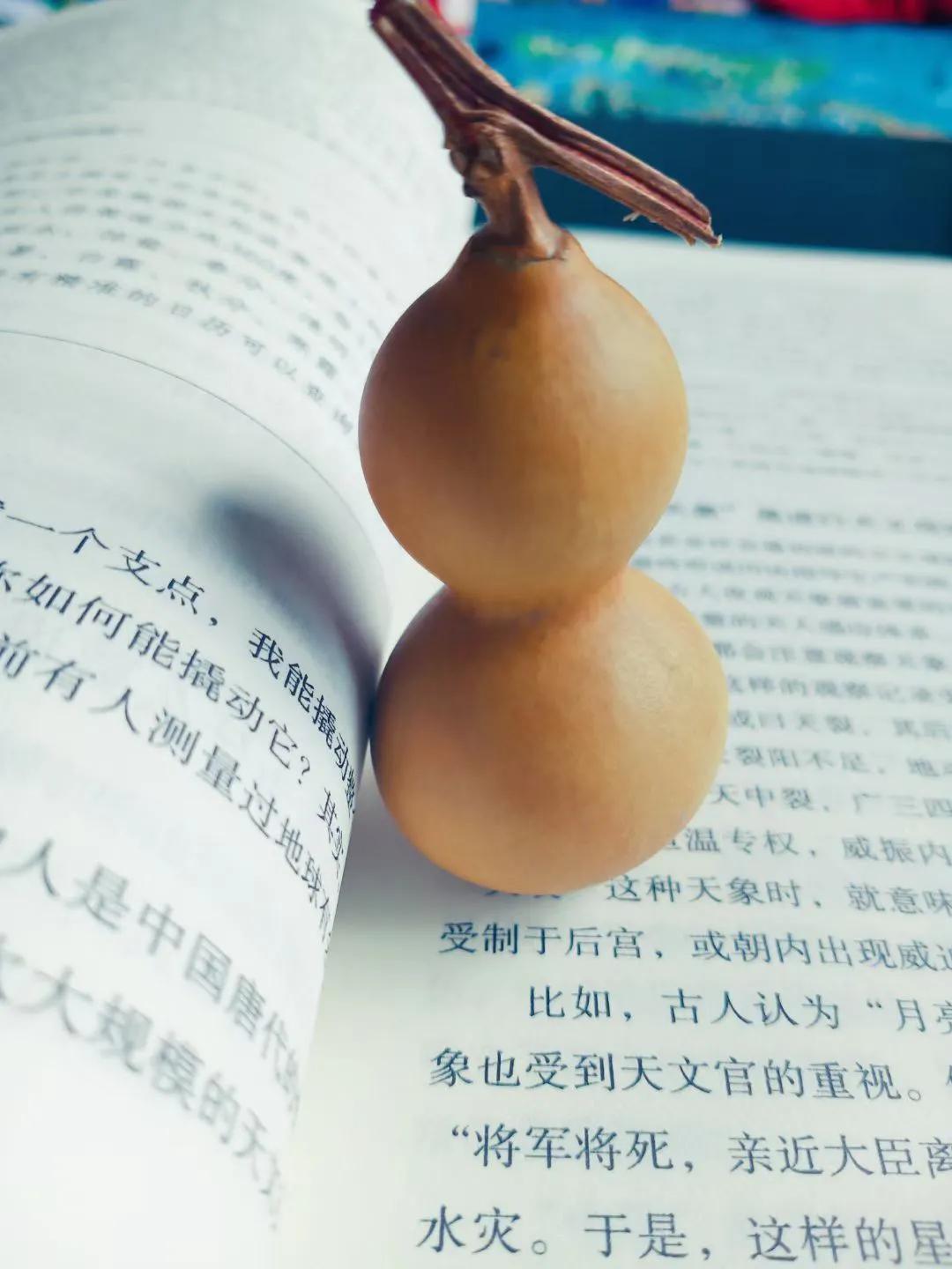 葫芦虽小藏天地,伴我云云万里身