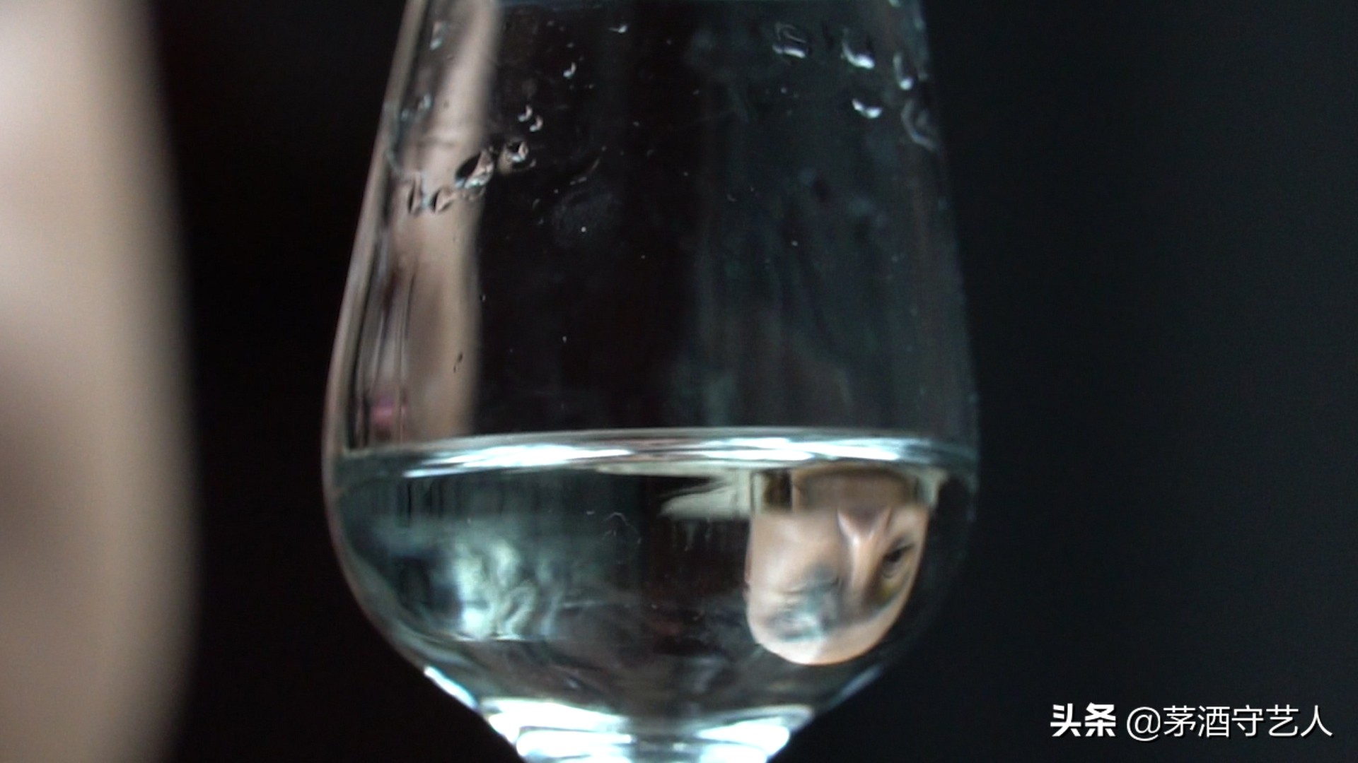 茅酒守艺人清香口粮酒,茅台陈酿封坛vip15