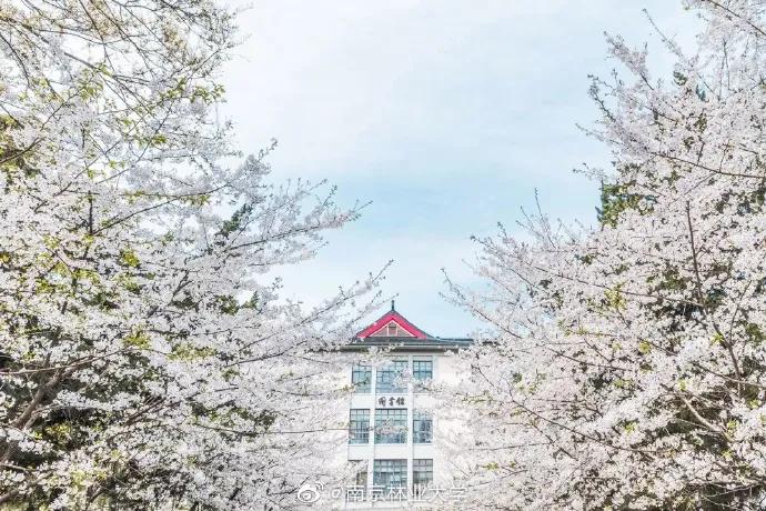 南京9所高校公布综合评价简章,南京各大学综合评价需要的条件