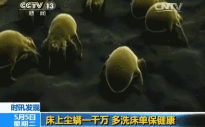 后背长痘的原因和改善方法,后背长痘太可怕了该怎样调理