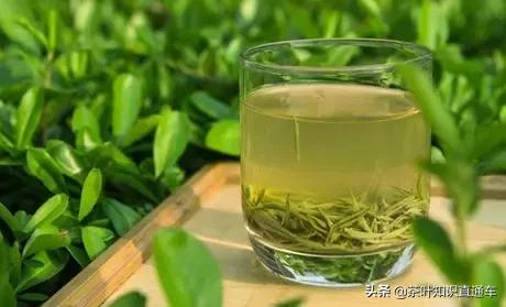 怎么辨别碧螺春的好坏,如何鉴别碧螺春的真伪和等级呢