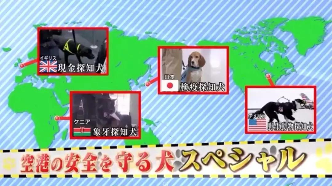 日本机场检查规定,国内机场安检需要脱掉鞋子么