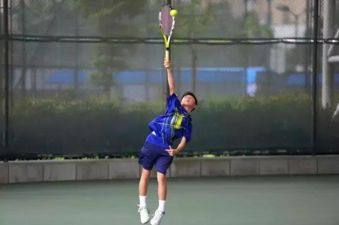 对网球了解与认识,对网球的了解