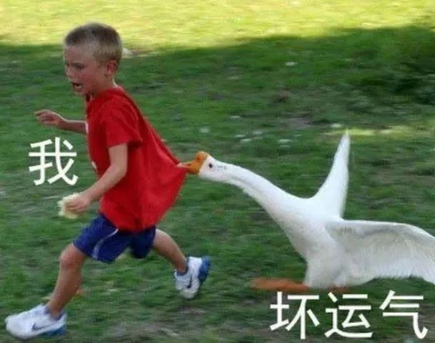 夏天最好的一款口红,用过几管口红好用