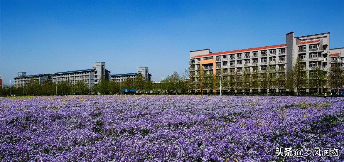 河北科技大学是一所怎样的大学,河北科技大学石家庄哪的