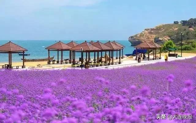 大连旅游必去景点路线推荐,大连最佳的旅游路线