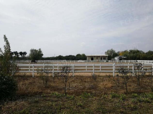 鍚戝線涔嬪,鍚戝線涔嬪瑁呴グ