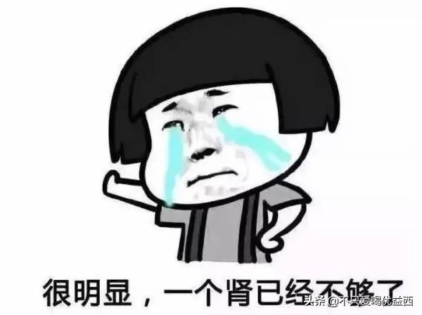 iphone哪款手机值得买,历代iphone值得买