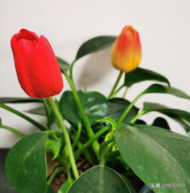 生命教育之殇~青少年自杀的思考