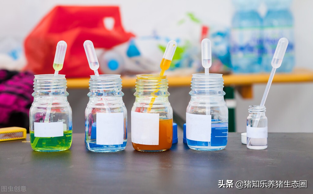 硫酸粘菌素在猪病中如何搭配使用,硫酸粘菌素最佳配伍养猪