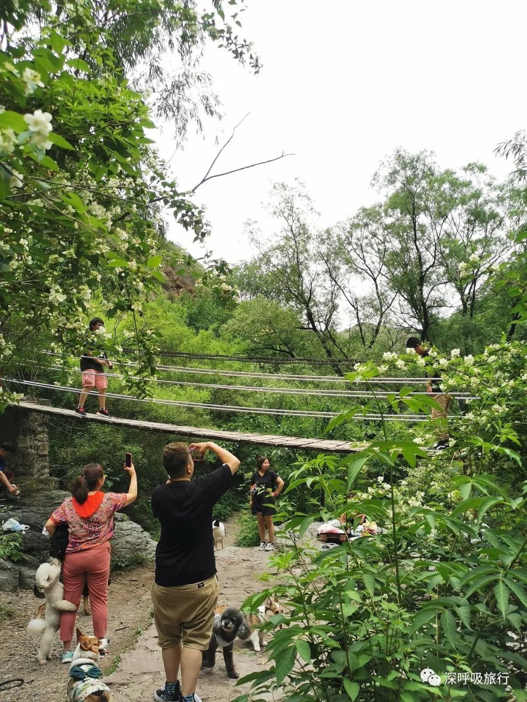 京西小九寨百瀑谷,京西双龙峡小火车图片