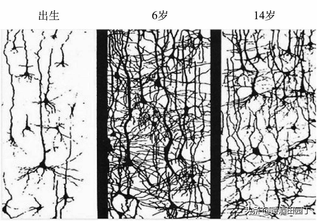 海门叠石桥早教0-3岁早教机构,在家早教还是去机构早教