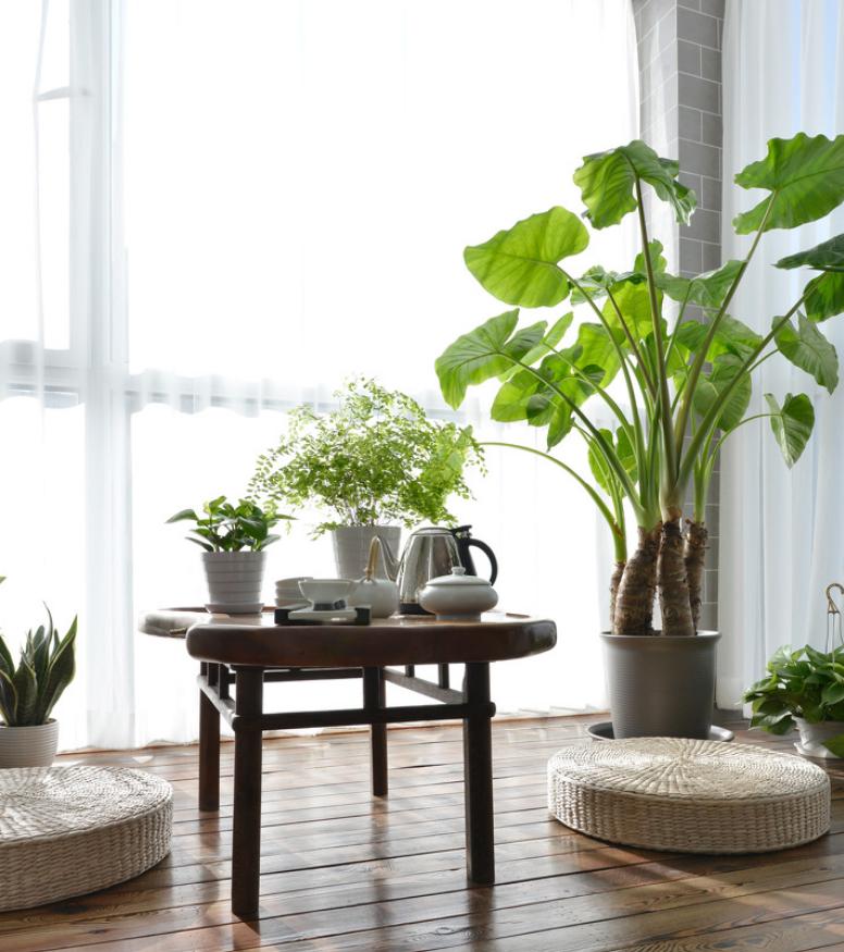 阳台设计20厘米地台榻榻米好看么,封闭式阳台布置榻榻米