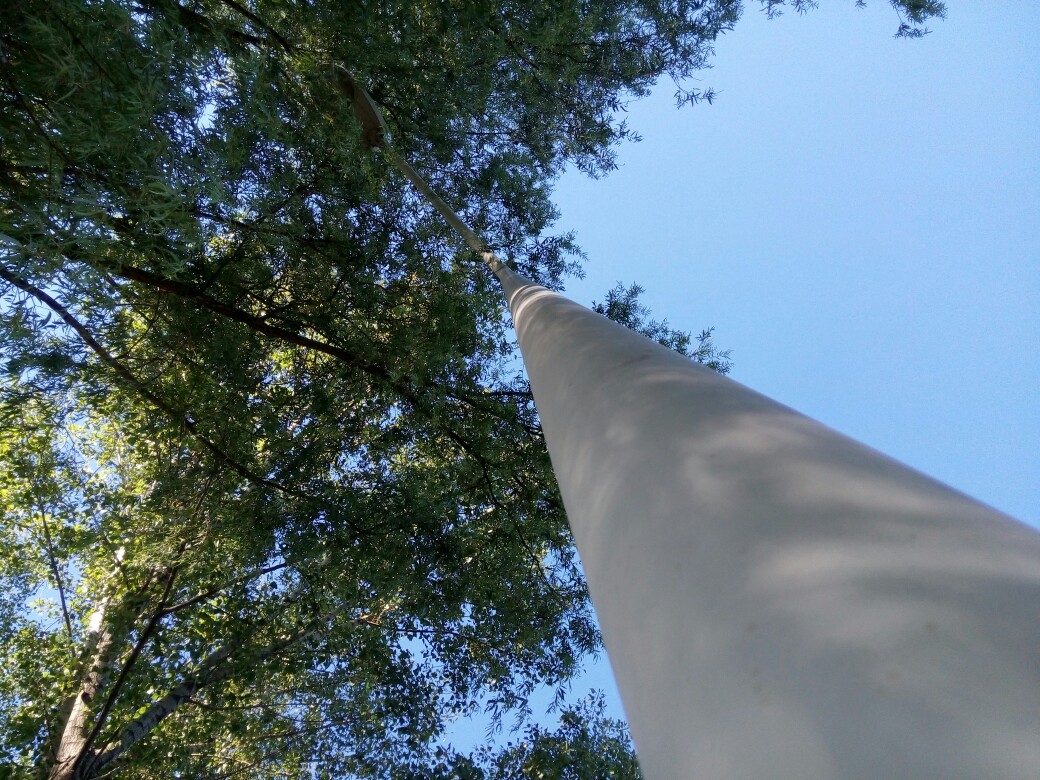 新冠肺炎患者阴茎勃起超过3小时！“金枪不倒”或致永久性阳痿