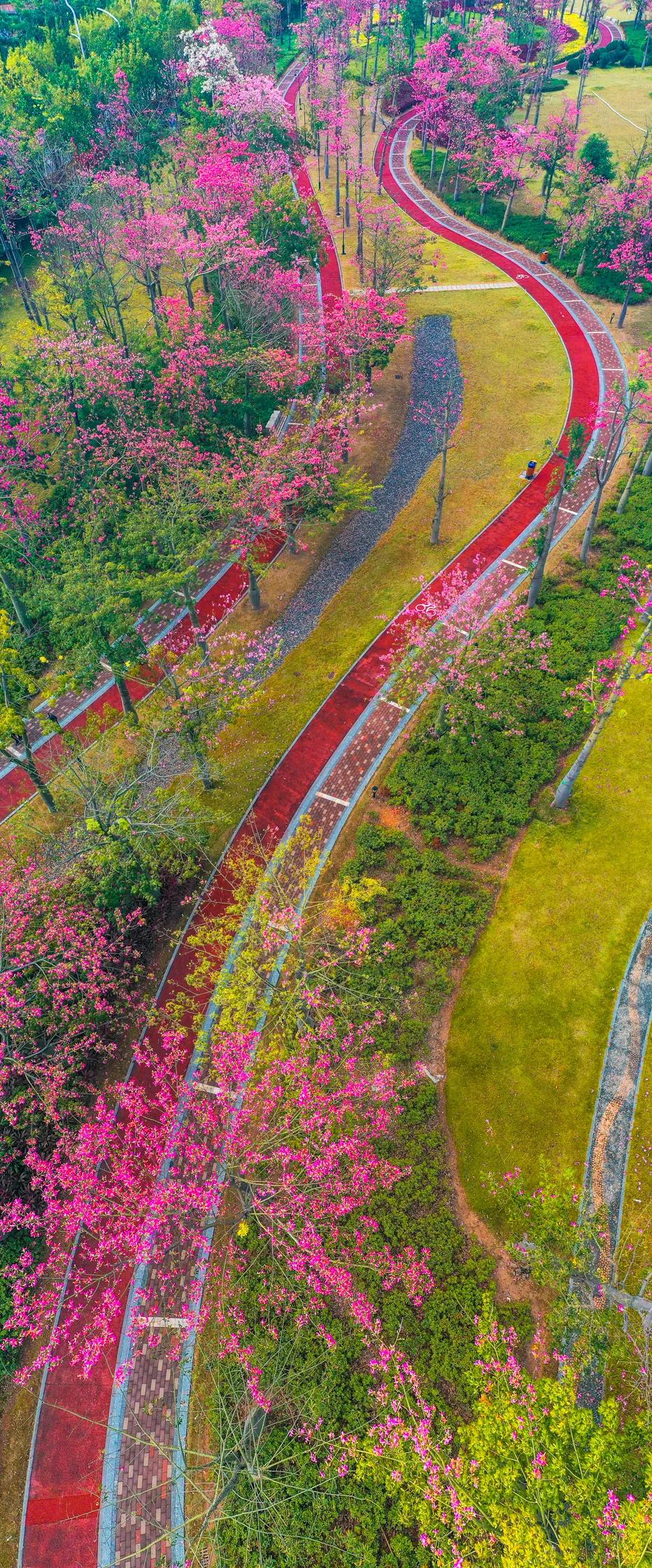 珠海买房过冬真实感受,在珠海买房十大秘诀