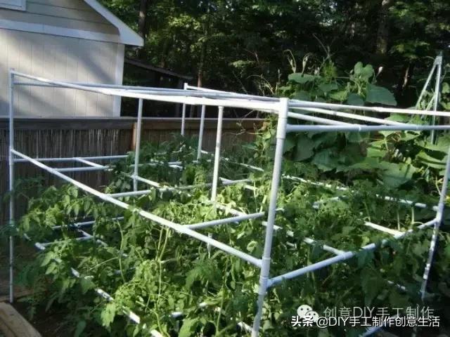 透明塑料罐有什么用,pvc管脑洞大开的创意