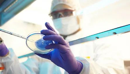 医疗健康行业最需要的专业,互联网医疗就业前景