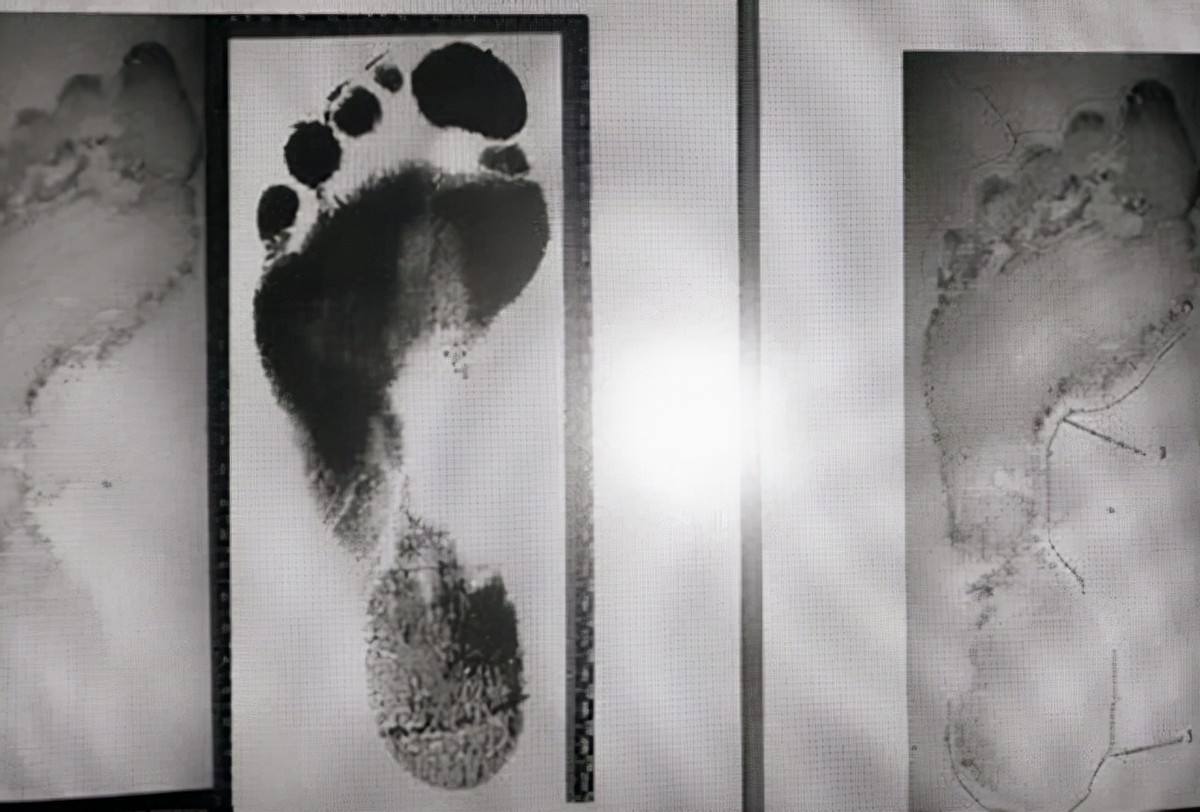 53岁放羊老汉当警察,放羊老头跻身顶尖刑侦专家