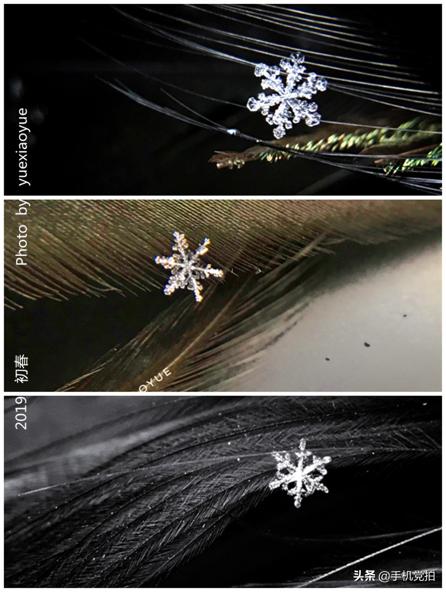 生活小妙招手机摄影,生活小妙招如何拍出爆款