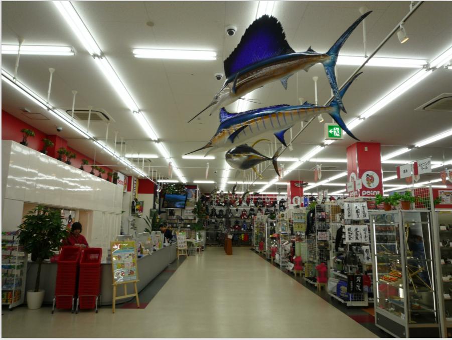 日本钓具店视频大全,日本钓具官方旗舰店