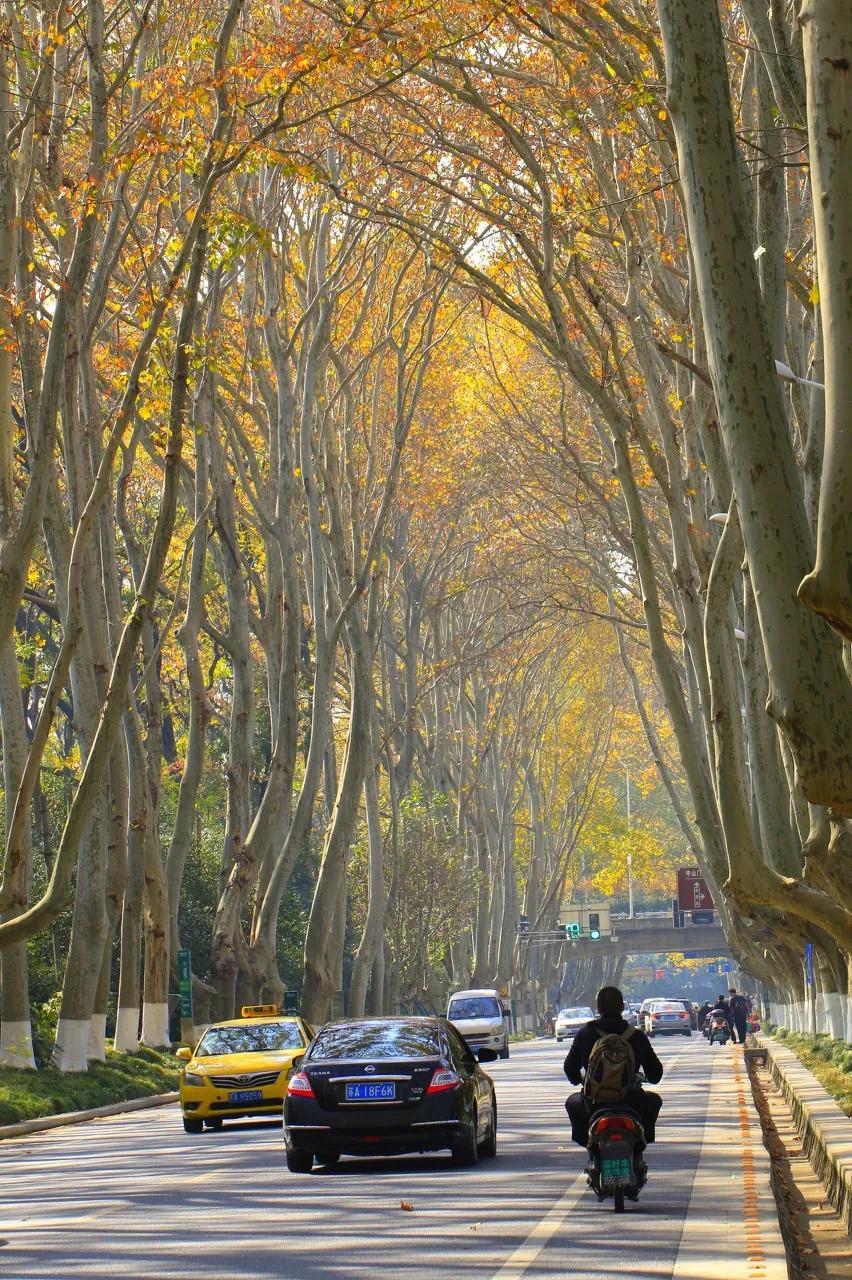 南京天空之镜高清图,中国五大惊艳世界的城市