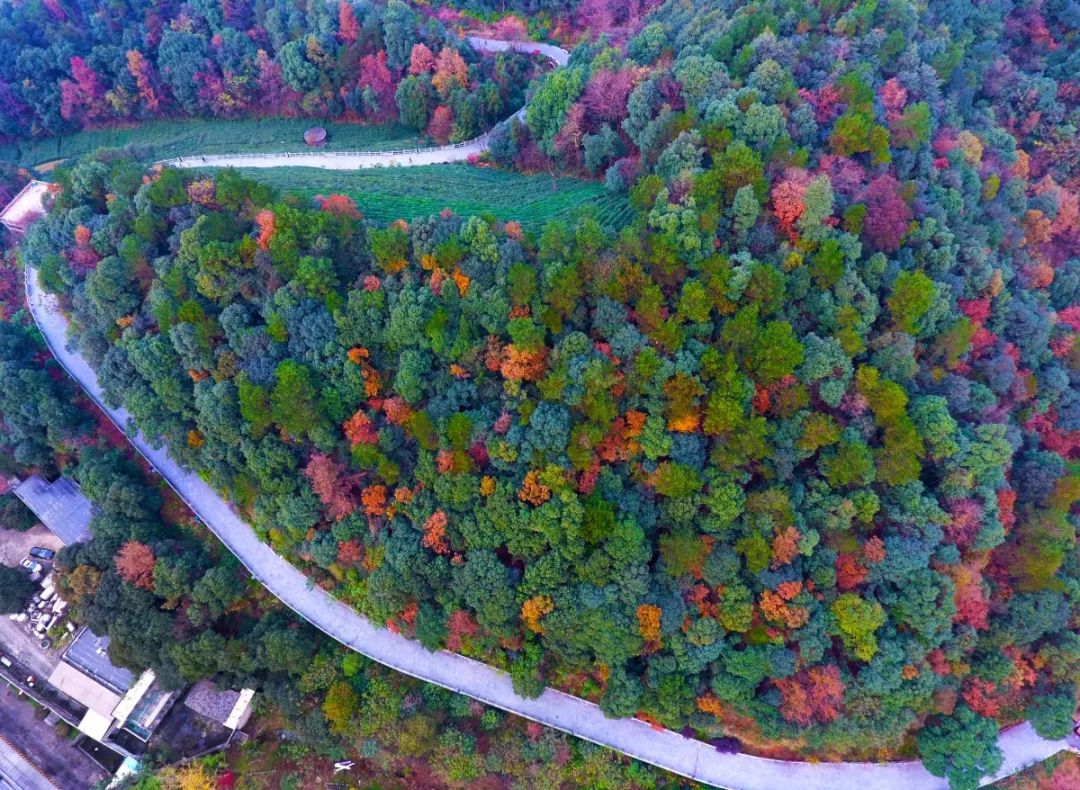 这里是西湖用英文怎么说,有西湖区吗