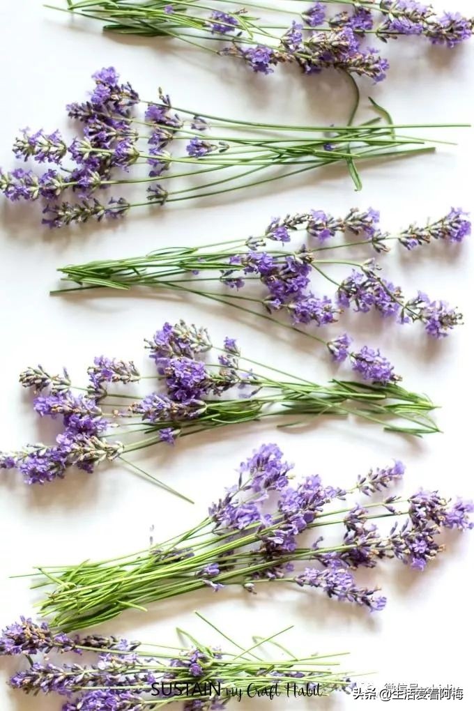 diy手工滴胶都需要准备什么,滴胶手工入门教程