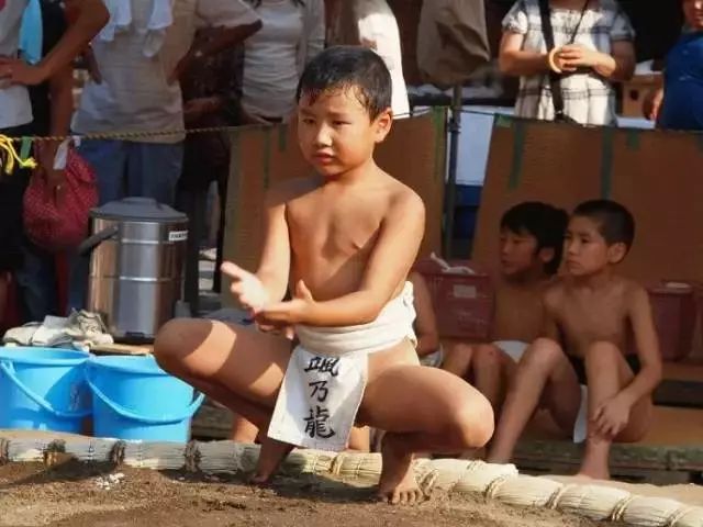 为什么日本人喜欢看两个胖胖“打架”？