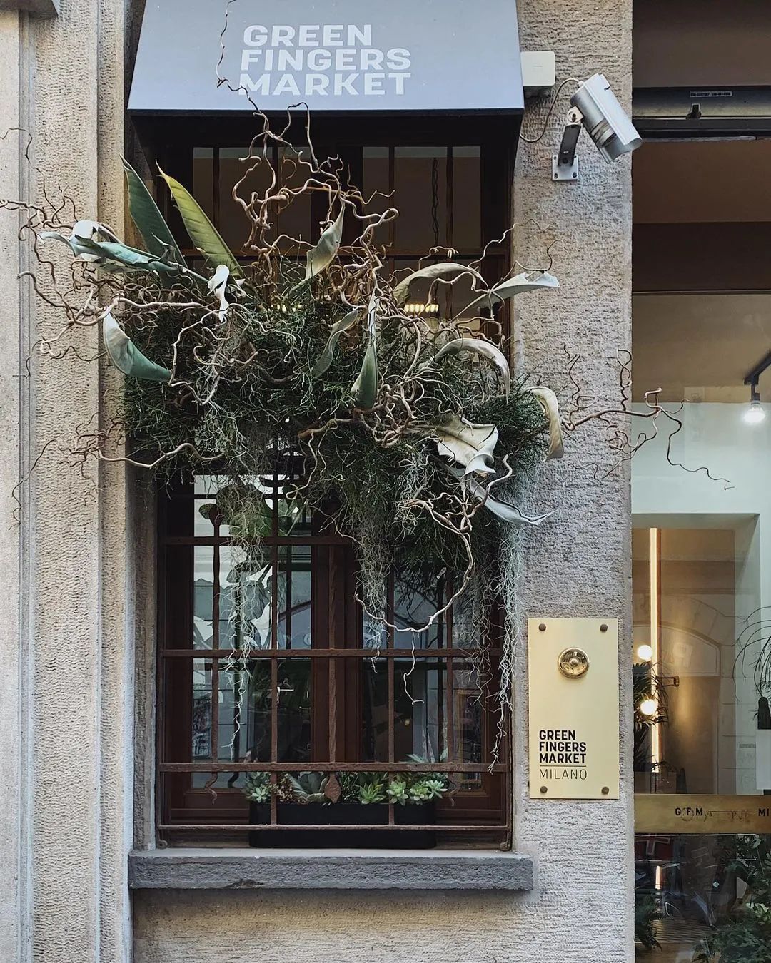 金盆洗手吧，植物杀手们