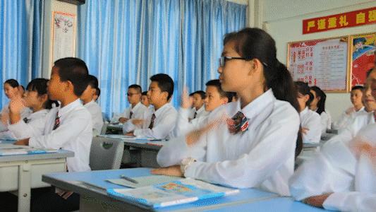 盛兴中英文学校如何,盛兴中英文学校是公立还是私立