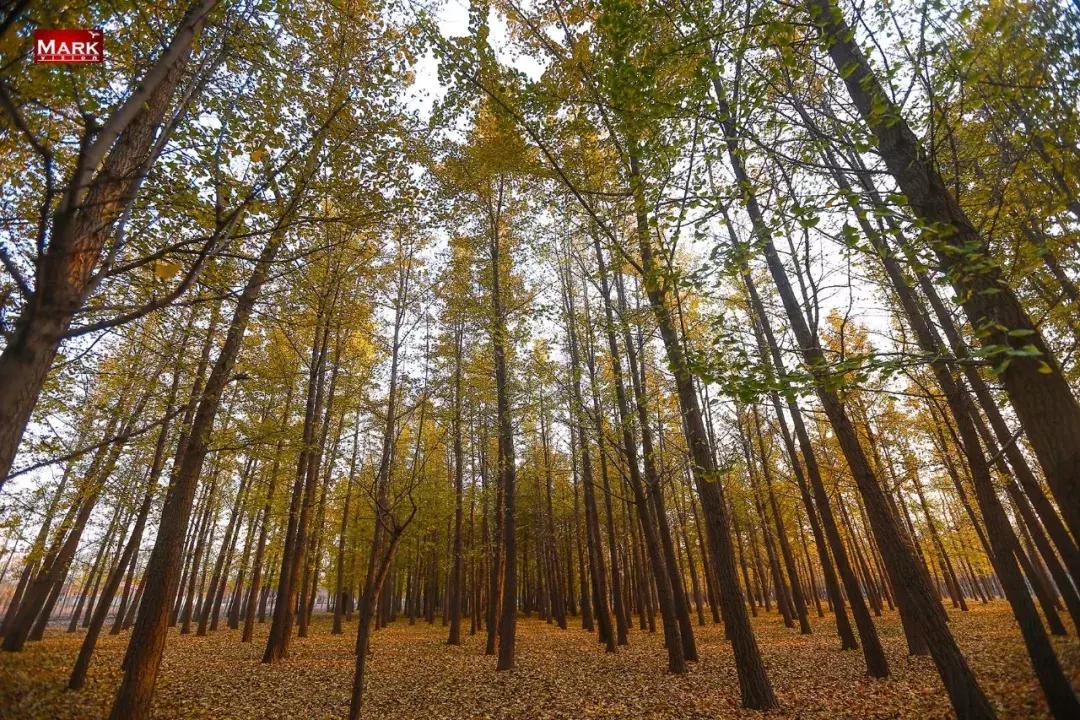 鎴戠埍鎴戝鎴垮瓙灏忓尯,鎴戠埍鎴戝闇稿窞鎴垮瓙