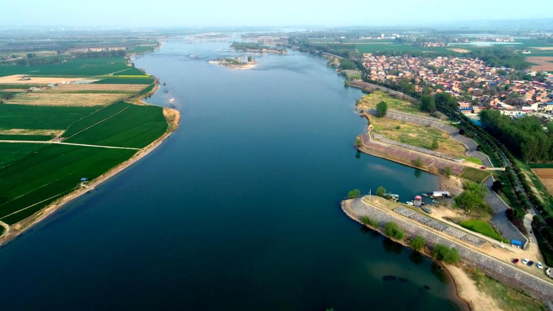 黄河泥沙那么大为什么会有鱼,为何黄河大鲤鱼多出名