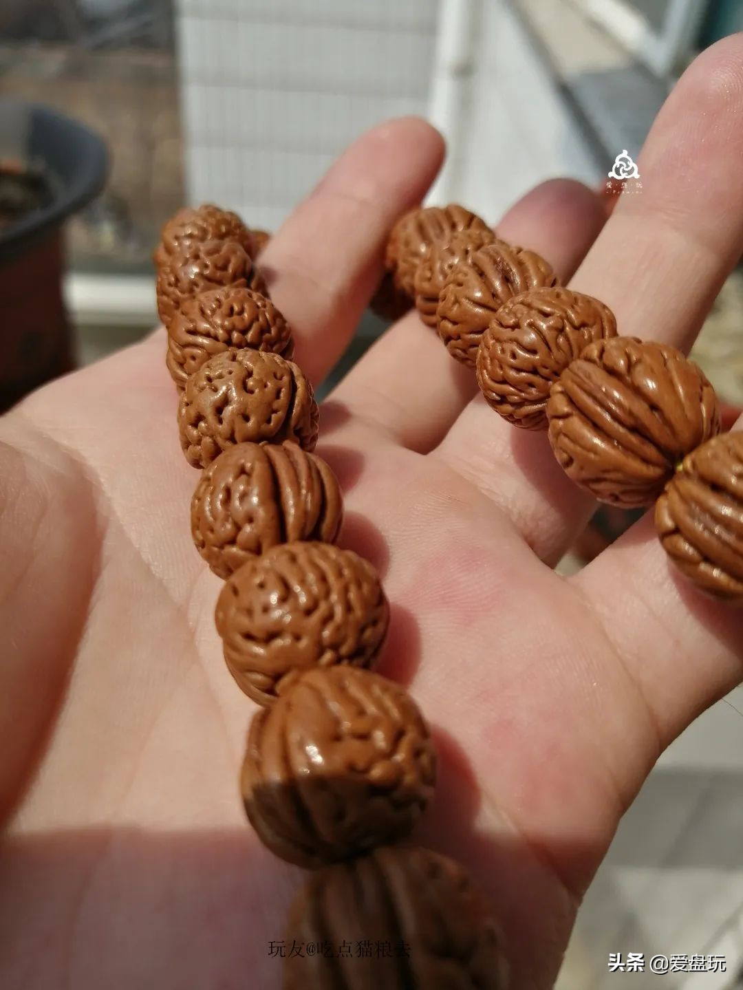 什么叫穷玩？手串超过300块，算我输！