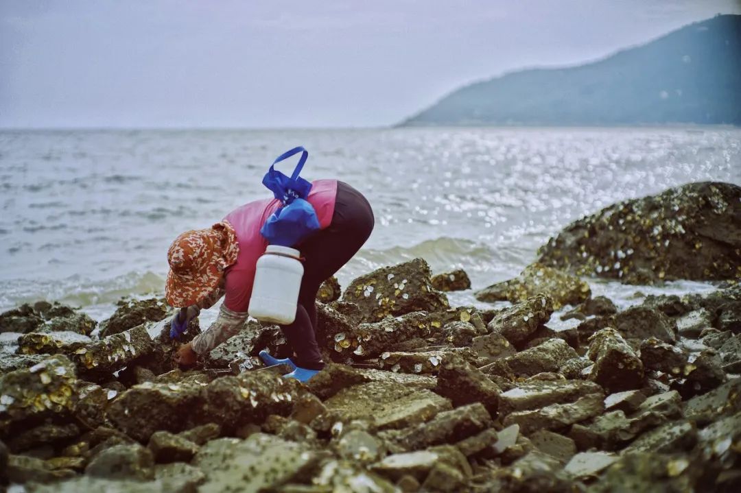 请依次用韩文读出来,请朗读并圈出元音不同的单词