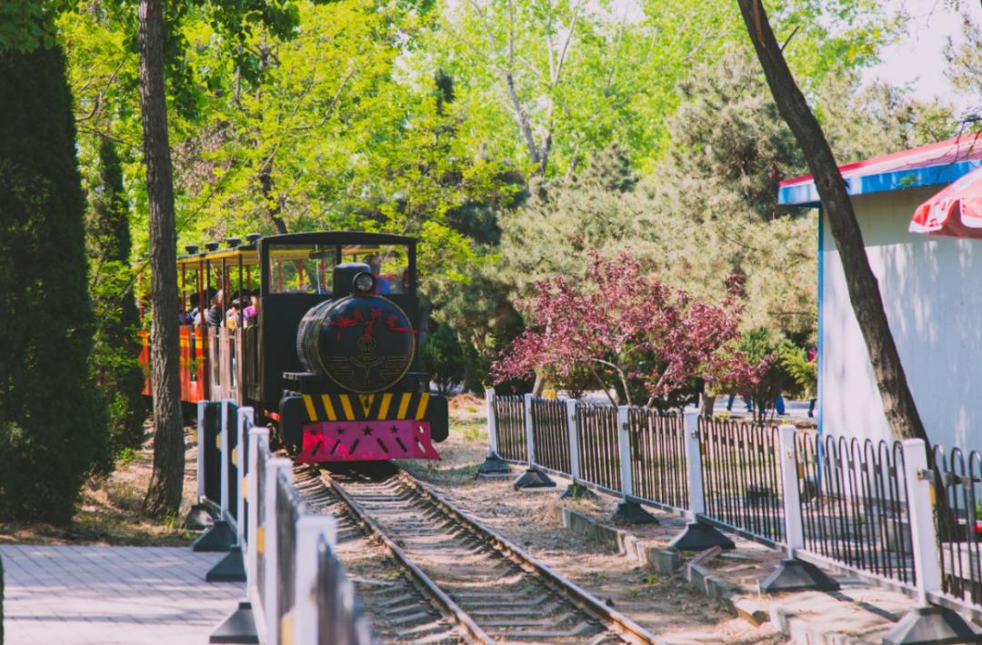 趣游南娱嗨翻天，你想玩的都在这里